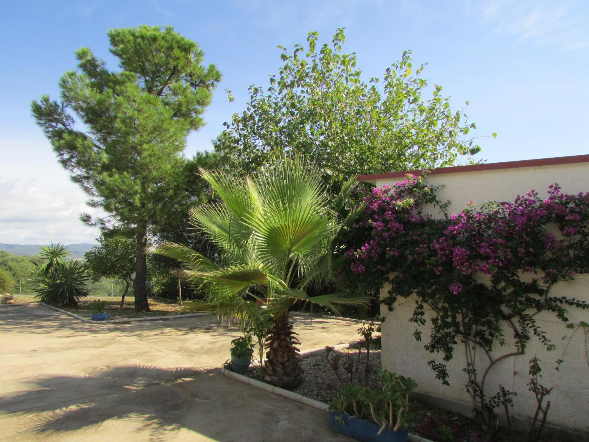 Villa Alare Almodóvar del Río Dış mekan fotoğraf